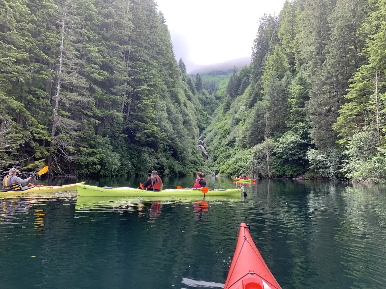 Kayakers paddling a forested gorge near Sitka, Alaska